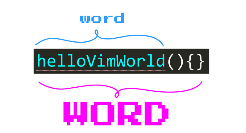 Разница между word и word vim